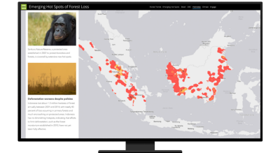Map of emerging spots of forest loss